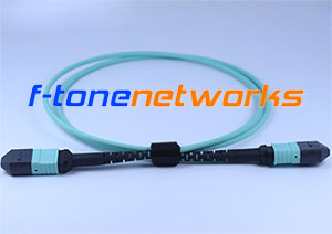 MTP, SMF, 8Core Fiber Patch Cord